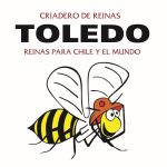 Logo Reinas Toledo Logo Reinas Toledo
