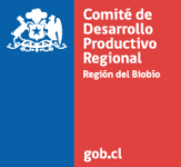 comite-desarrollo comite-desarrollo